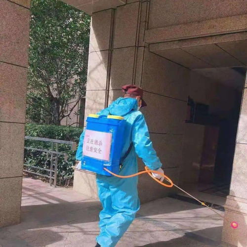 安全大過天 防寒防疫兩不誤 以“防疫健康包”為抓手，全力守護業(yè)主健康安全